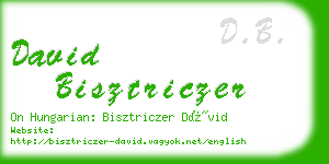 david bisztriczer business card